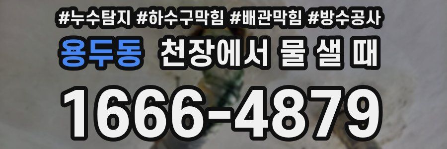 용두동 천장에서 물 샐 때