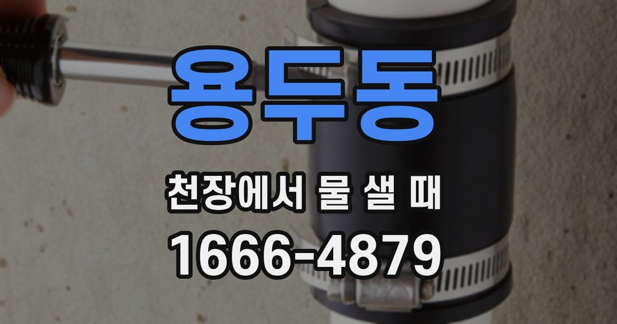용두동 천장에서 물 샐 때