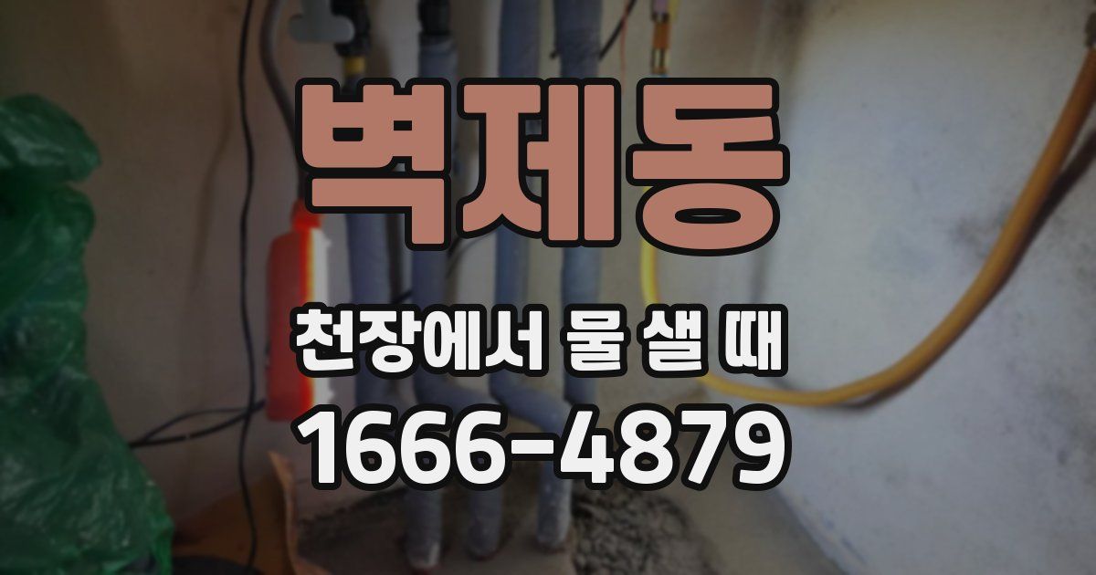 벽제동 천장에서 물 샐 때