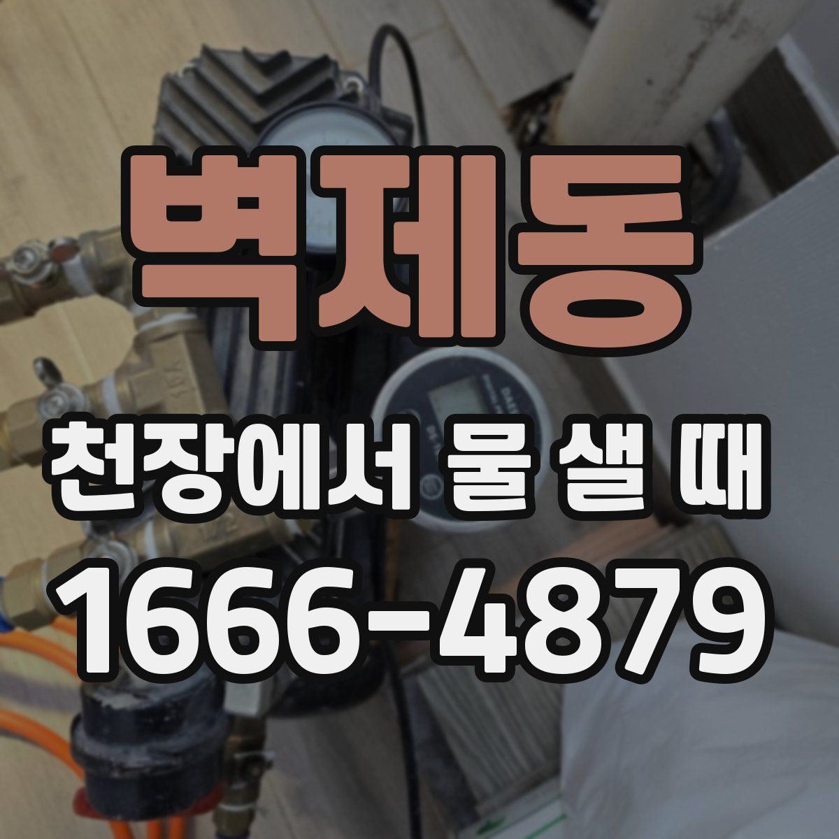 벽제동 천장에서 물 샐 때