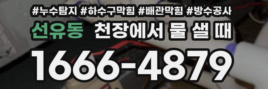 선유동 천장에서 물 샐 때