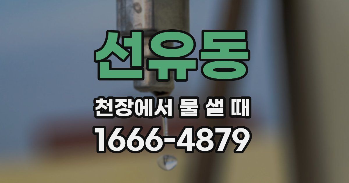 선유동 천장에서 물 샐 때