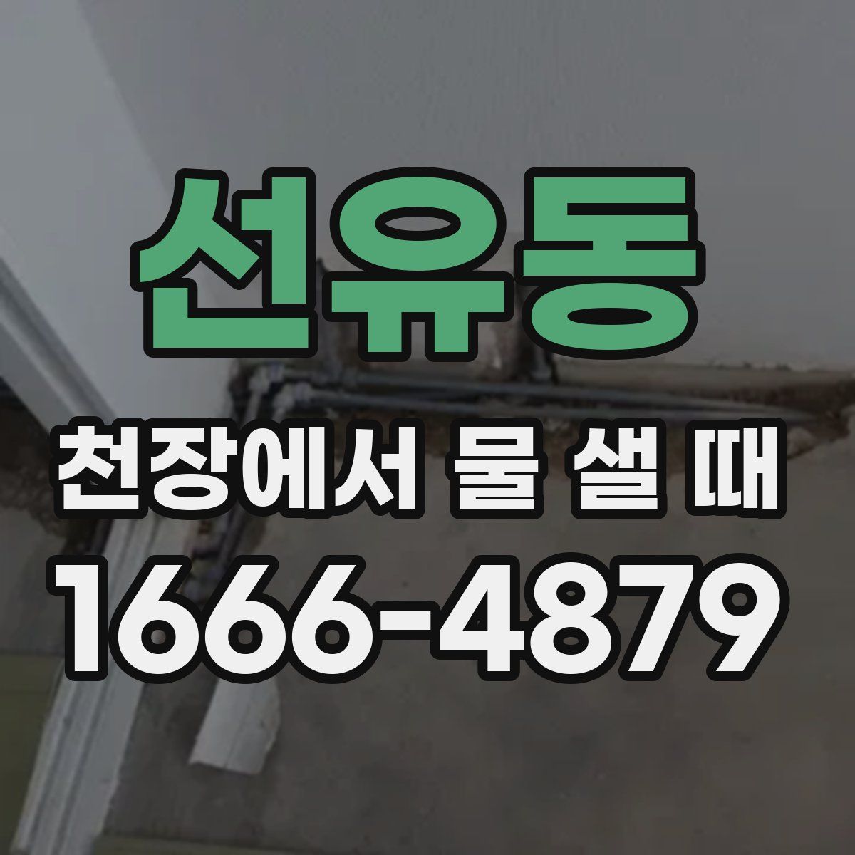 선유동 천장에서 물 샐 때