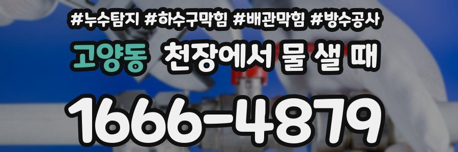 고양동 천장에서 물 샐 때