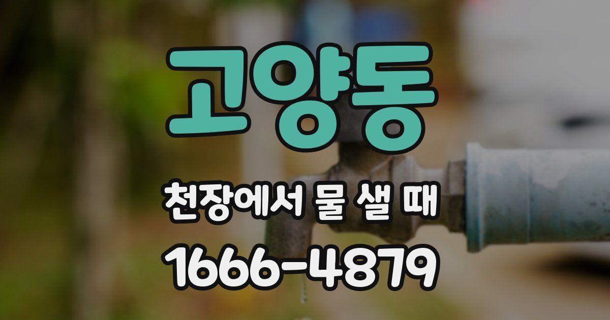 고양동 천장에서 물 샐 때
