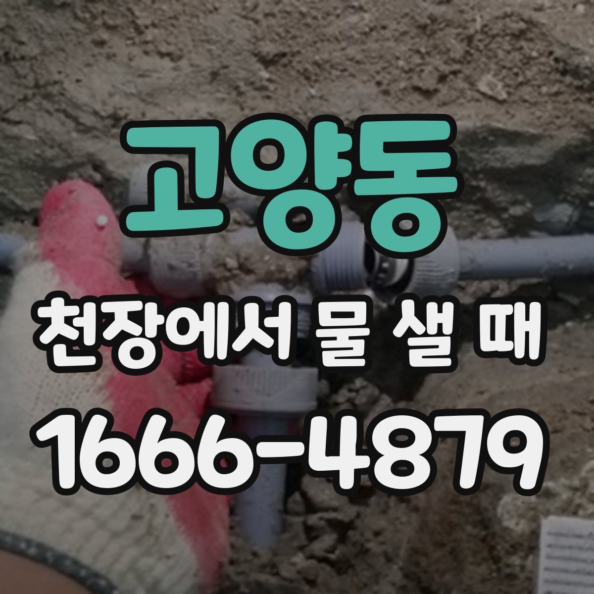 고양동 천장에서 물 샐 때