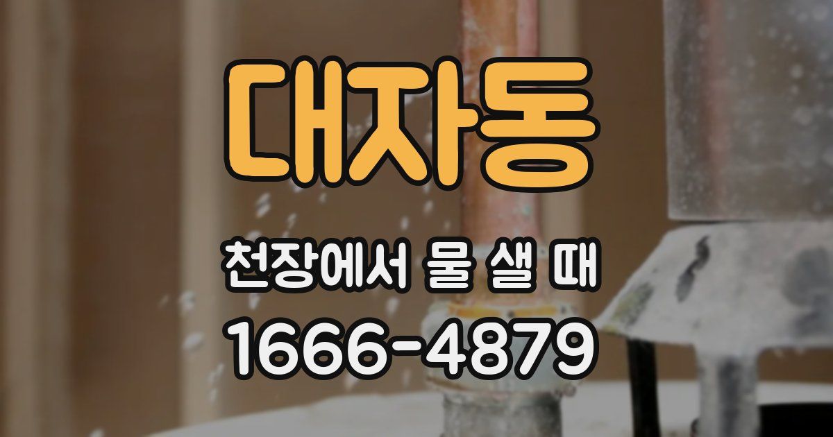 대자동 천장에서 물 샐 때