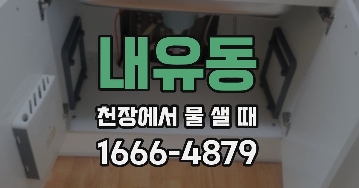 내유동 천장에서 물 샐 때