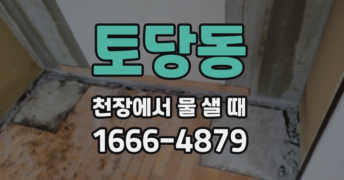 토당동 천장에서 물 샐 때