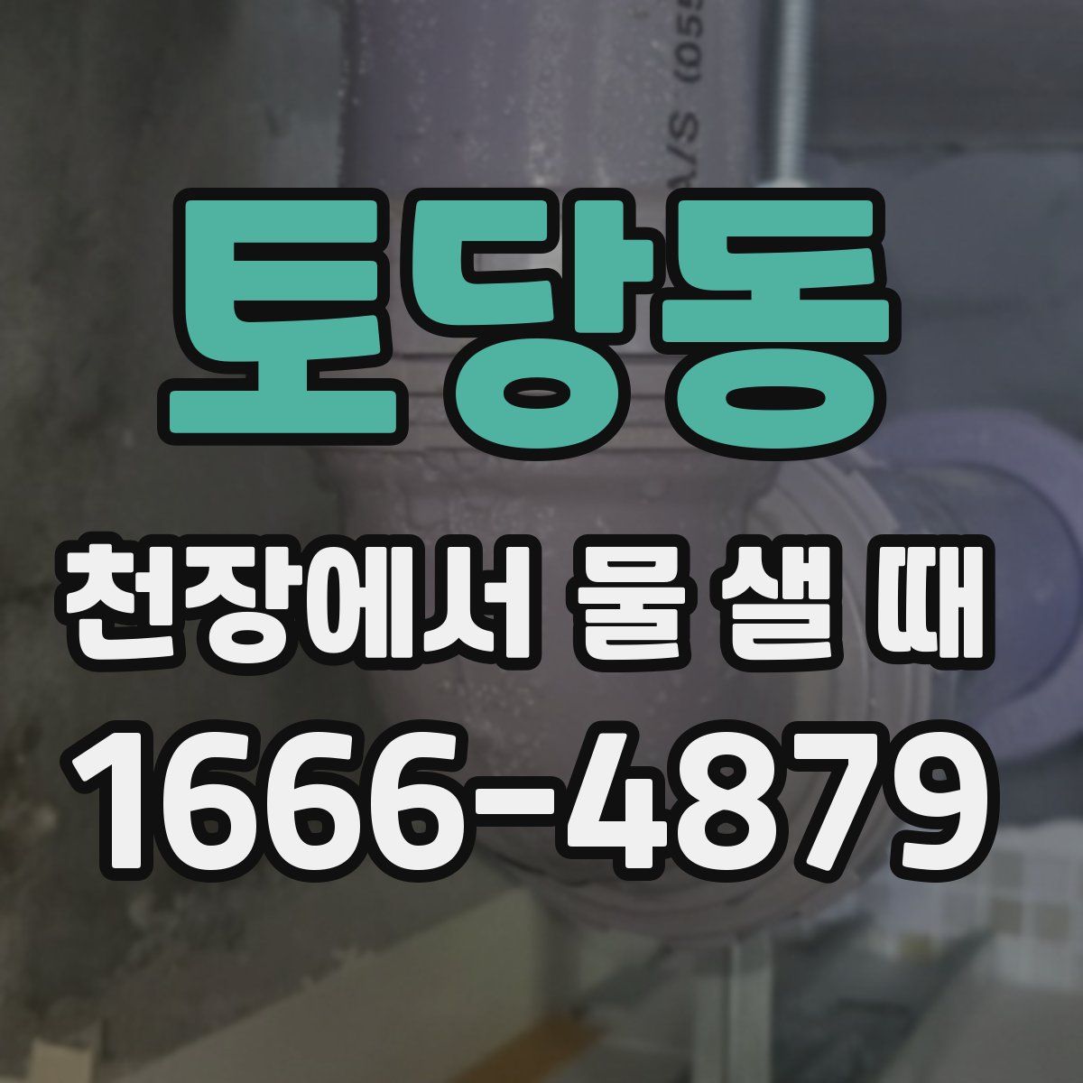 토당동 천장에서 물 샐 때