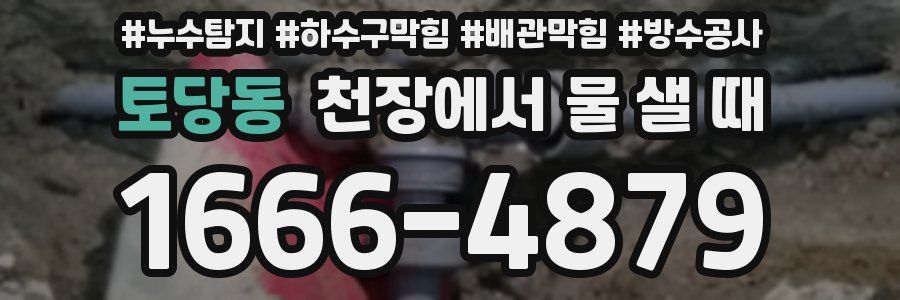 토당동 천장에서 물 샐 때