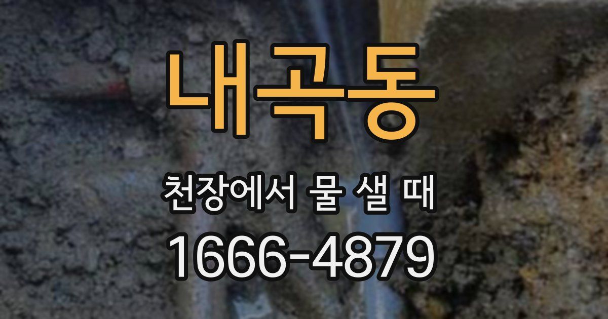 내곡동 천장에서 물 샐 때