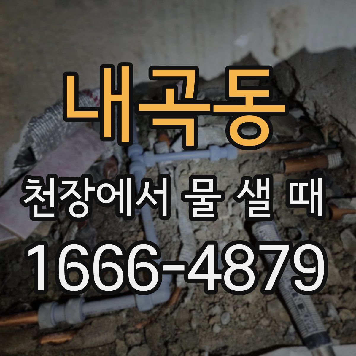 내곡동 천장에서 물 샐 때