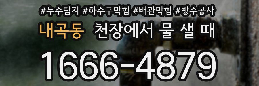 내곡동 천장에서 물 샐 때