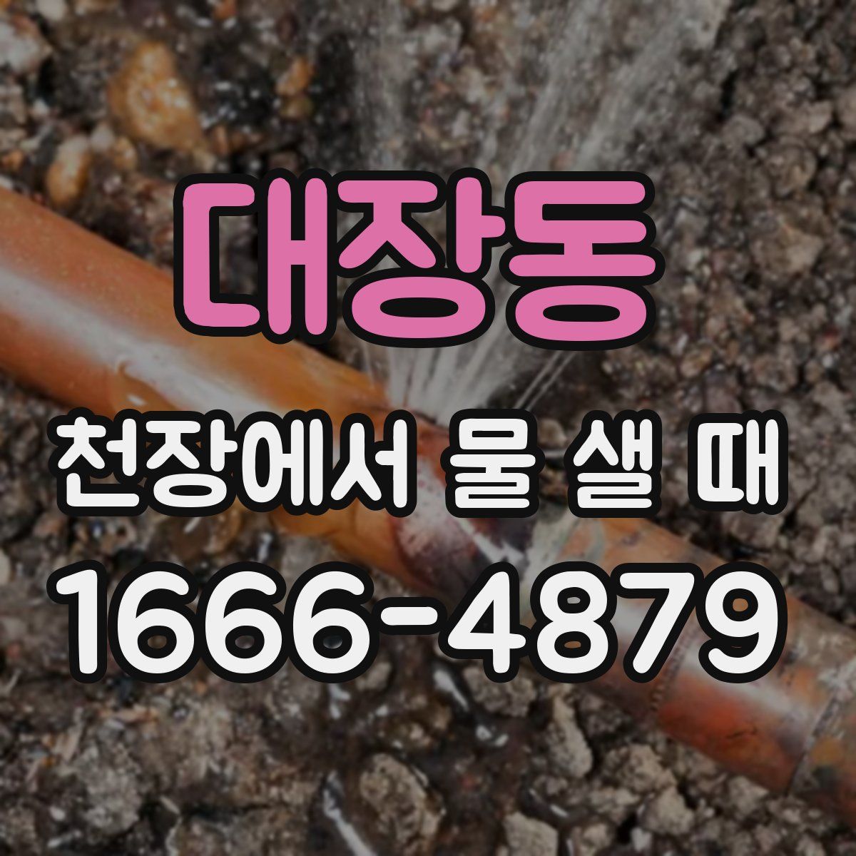 대장동 천장에서 물 샐 때