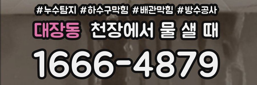 대장동 천장에서 물 샐 때