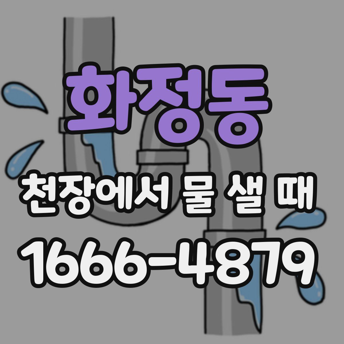 화정동 천장에서 물 샐 때