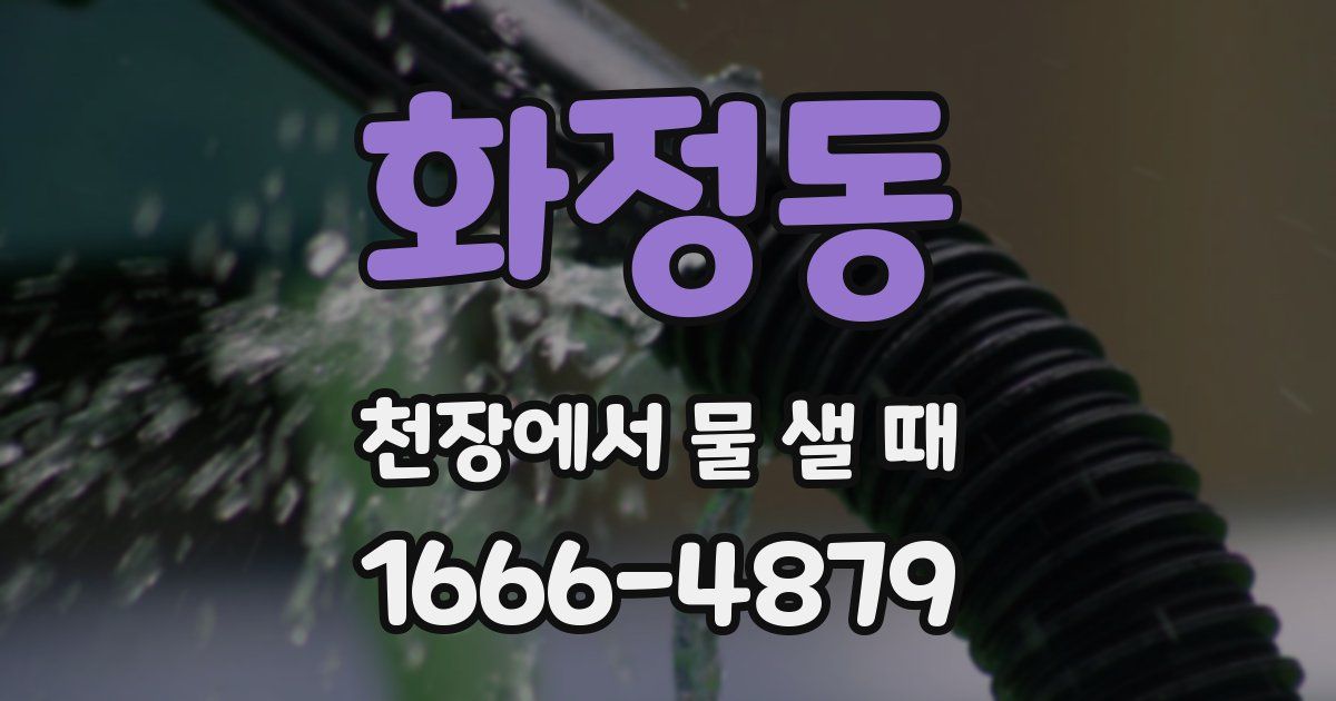 화정동 천장에서 물 샐 때