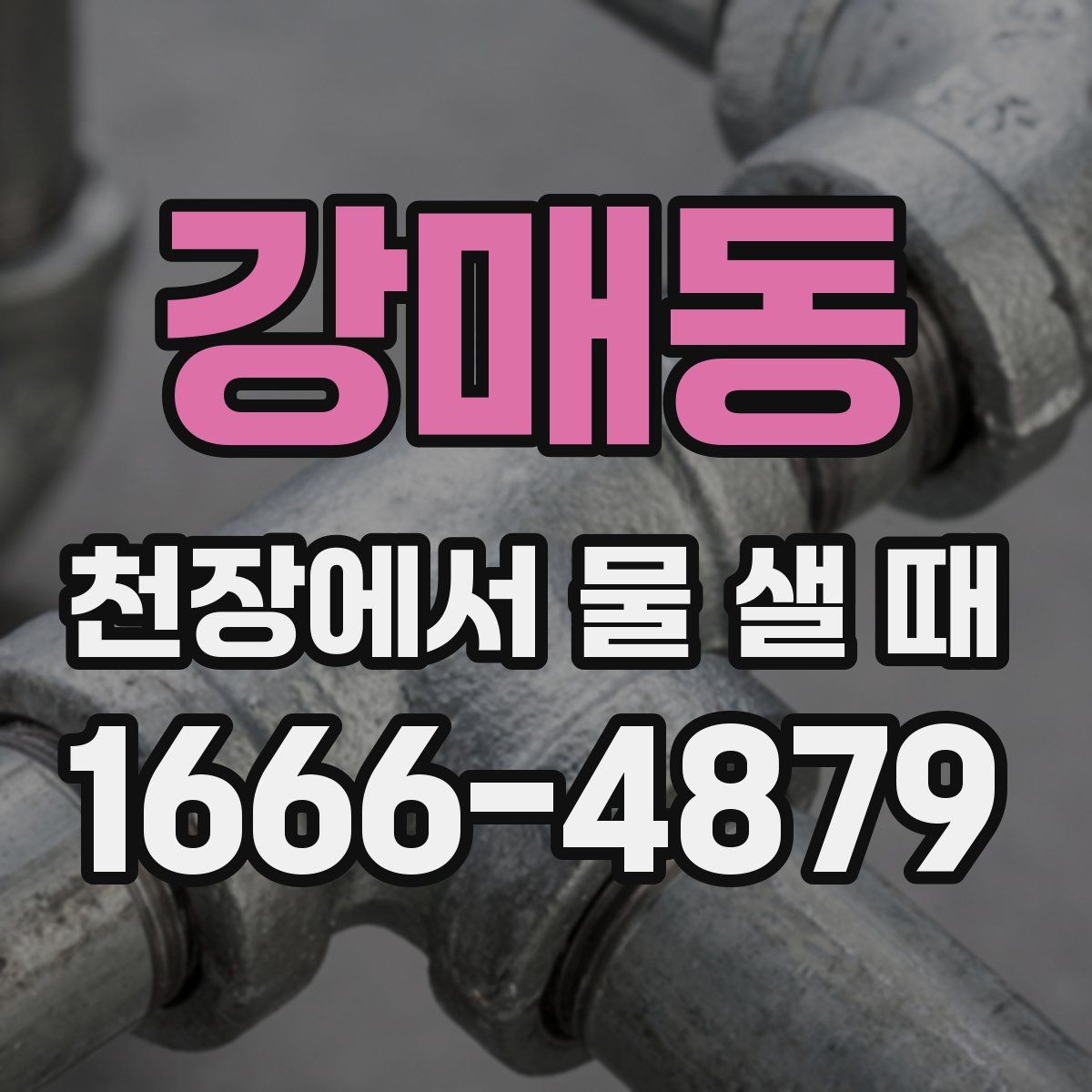 강매동 천장에서 물 샐 때
