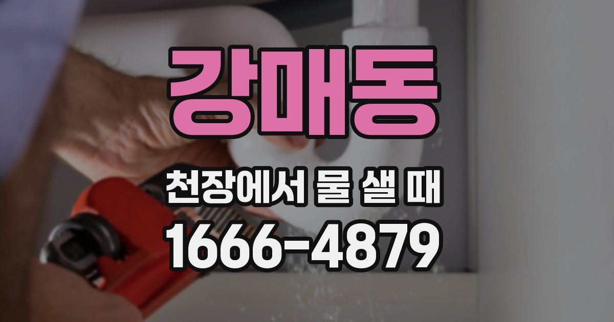 강매동 천장에서 물 샐 때