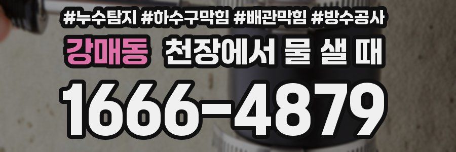 강매동 천장에서 물 샐 때