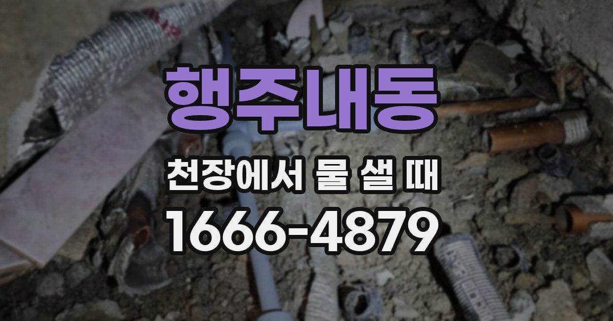 행주내동 천장에서 물 샐 때