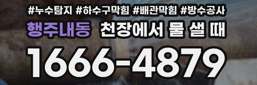행주내동 천장에서 물 샐 때