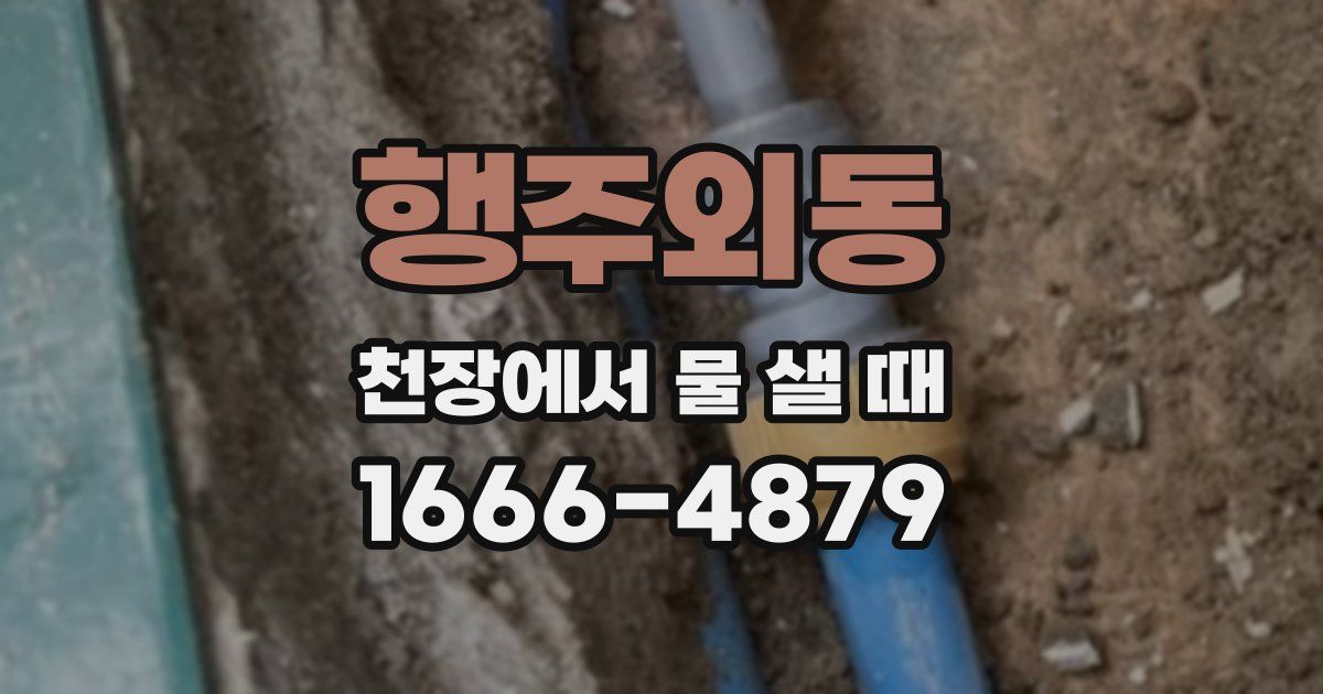행주외동 천장에서 물 샐 때