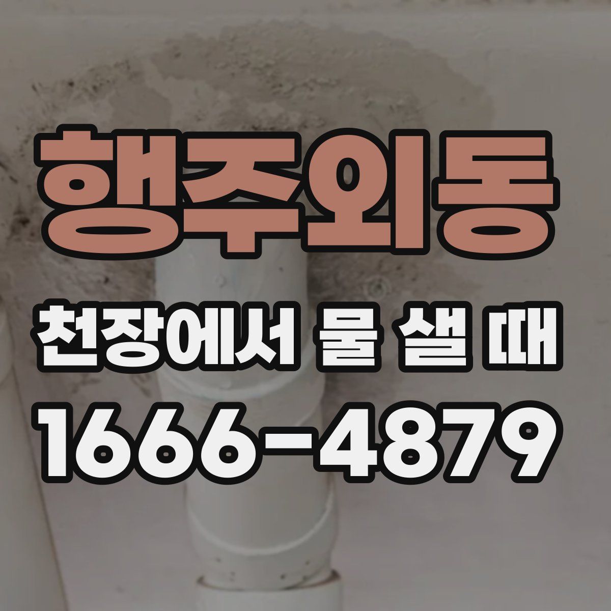행주외동 천장에서 물 샐 때