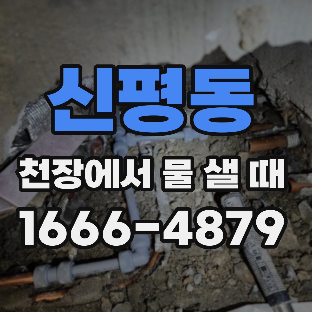 신평동 천장에서 물 샐 때