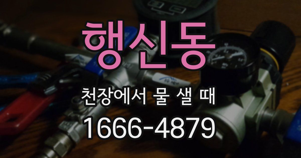 행신동 천장에서 물 샐 때