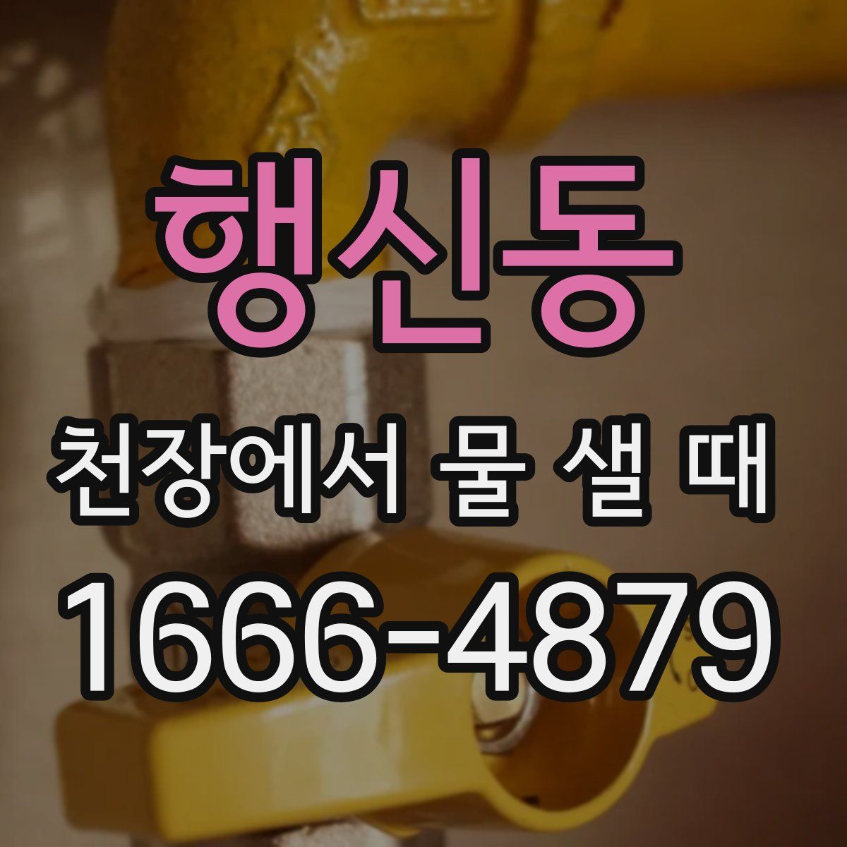 행신동 천장에서 물 샐 때