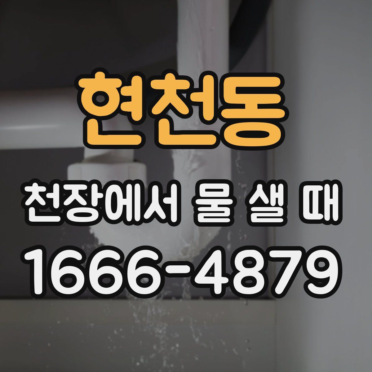 현천동 천장에서 물 샐 때