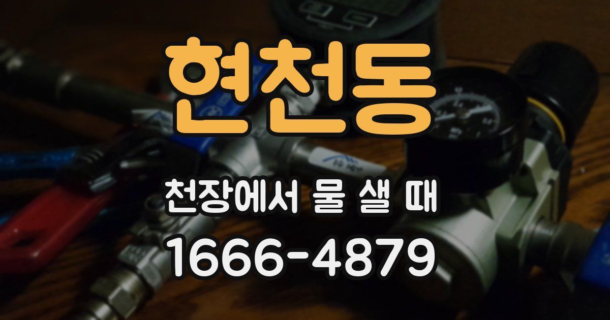 현천동 천장에서 물 샐 때