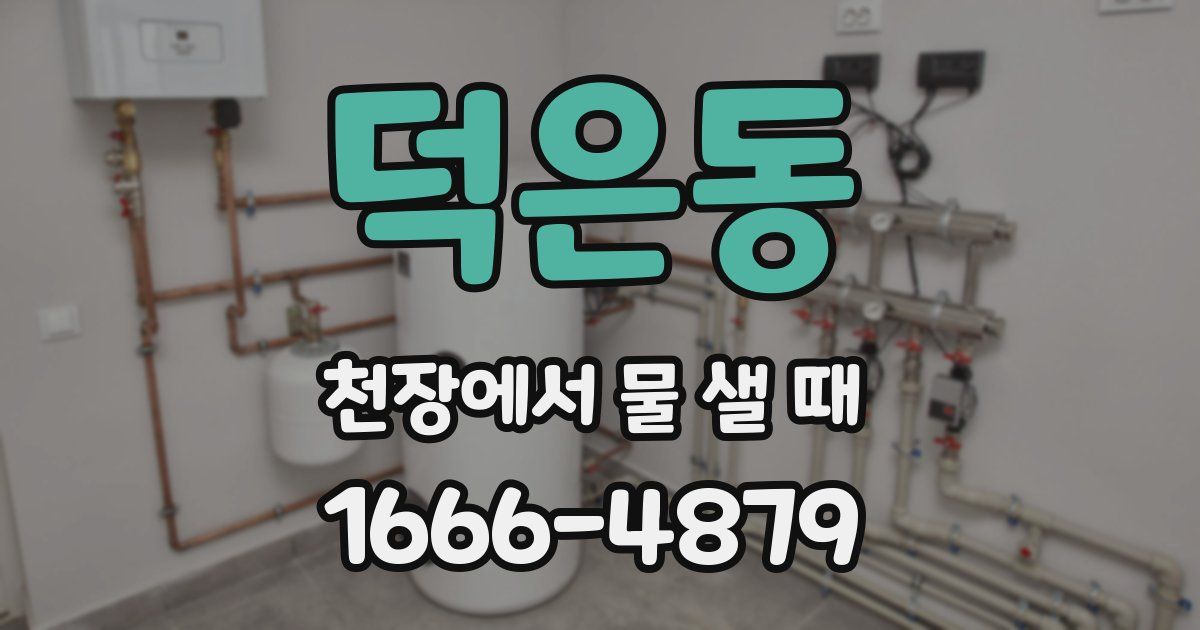 덕은동 천장에서 물 샐 때