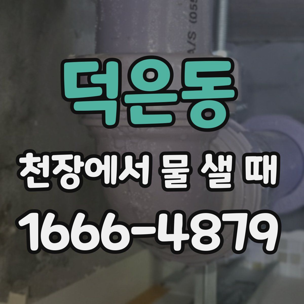 덕은동 천장에서 물 샐 때