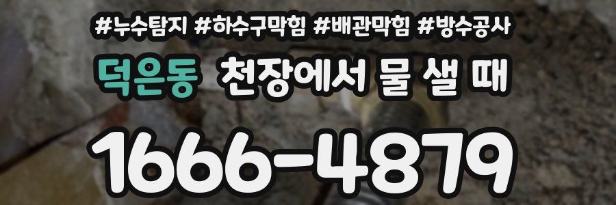덕은동 천장에서 물 샐 때