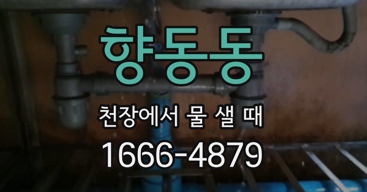 향동동 천장에서 물 샐 때