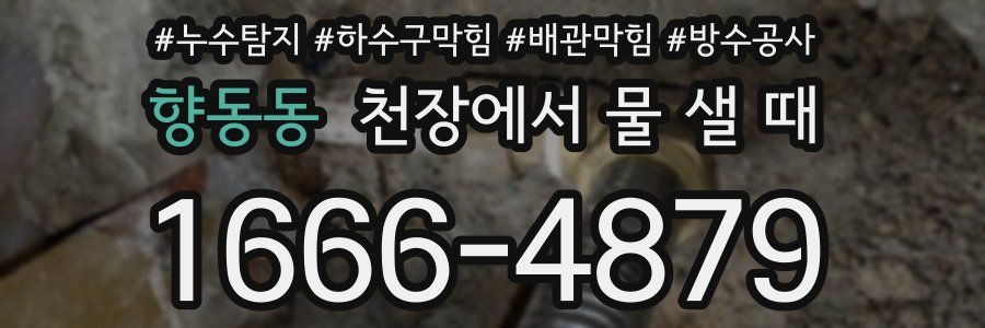 향동동 천장에서 물 샐 때