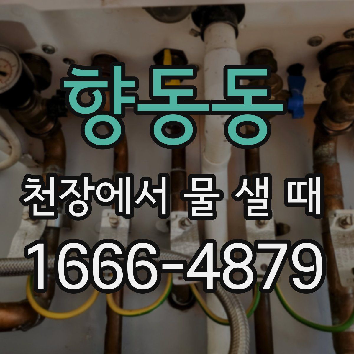 향동동 천장에서 물 샐 때