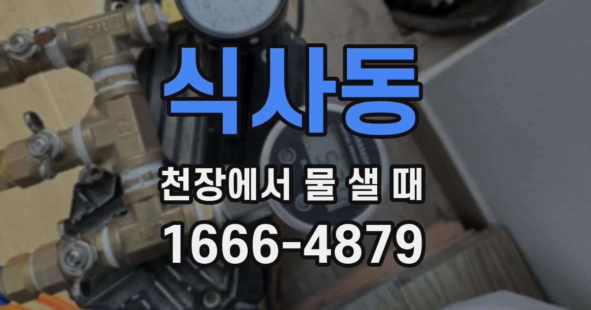 식사동 천장에서 물 샐 때