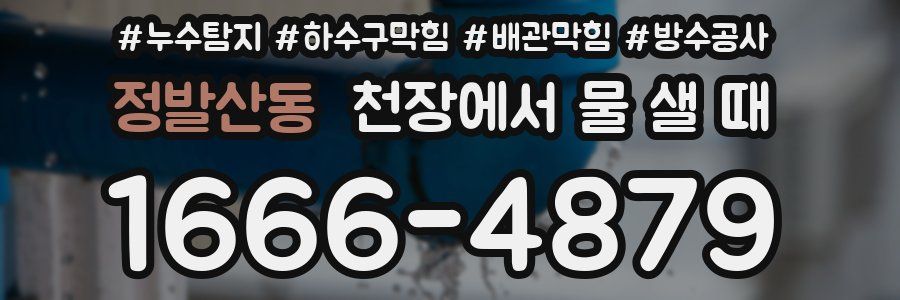 정발산동 천장에서 물 샐 때