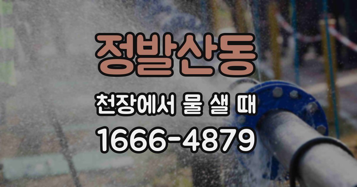 정발산동 천장에서 물 샐 때