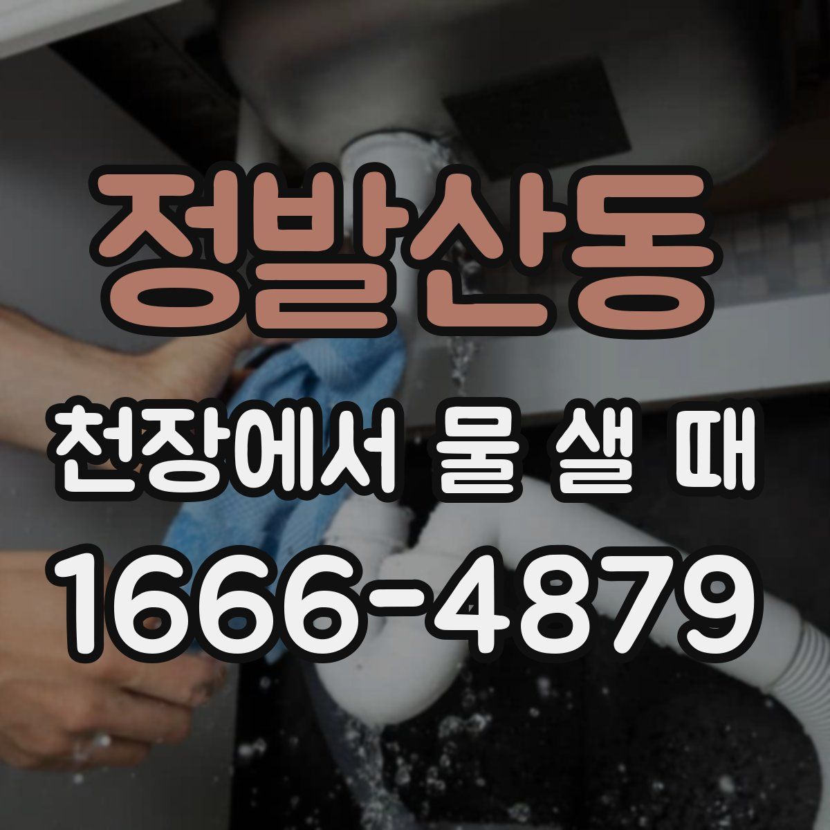 정발산동 천장에서 물 샐 때