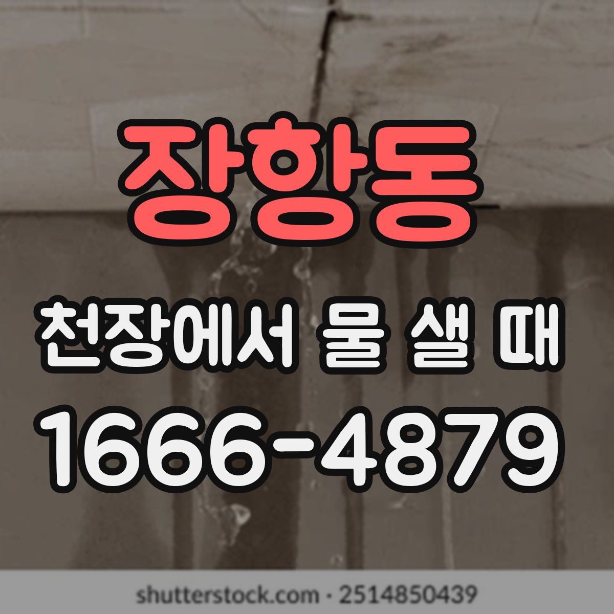 장항동 천장에서 물 샐 때