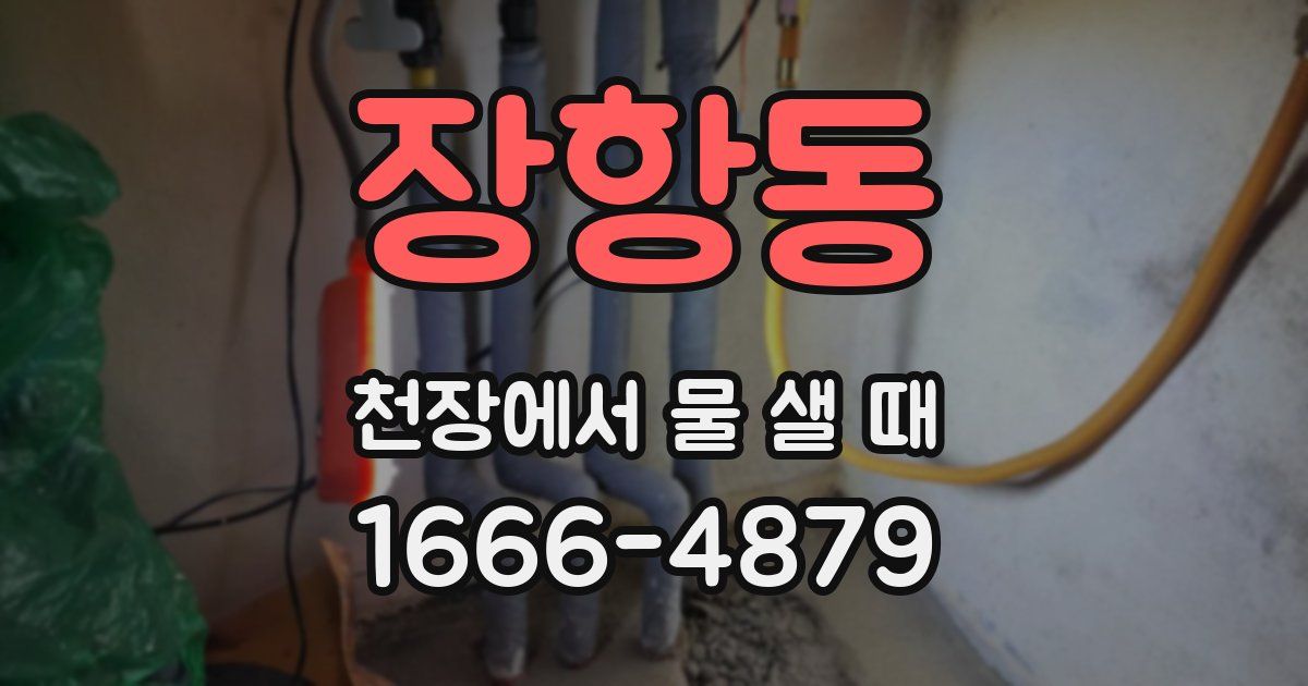 장항동 천장에서 물 샐 때