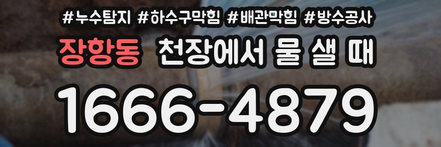 장항동 천장에서 물 샐 때