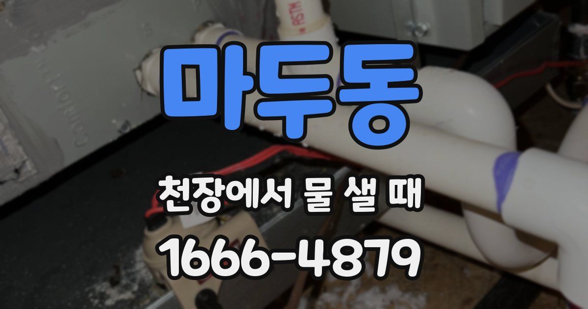 마두동 천장에서 물 샐 때
