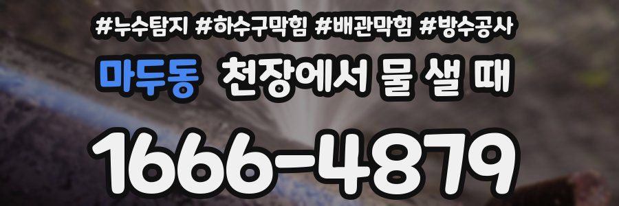 마두동 천장에서 물 샐 때