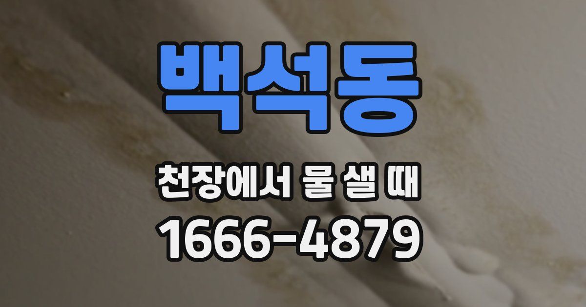 백석동 천장에서 물 샐 때